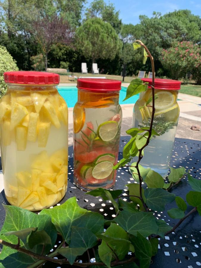 Le Jardin De Lacoste ナルボンヌ エクステリア 写真