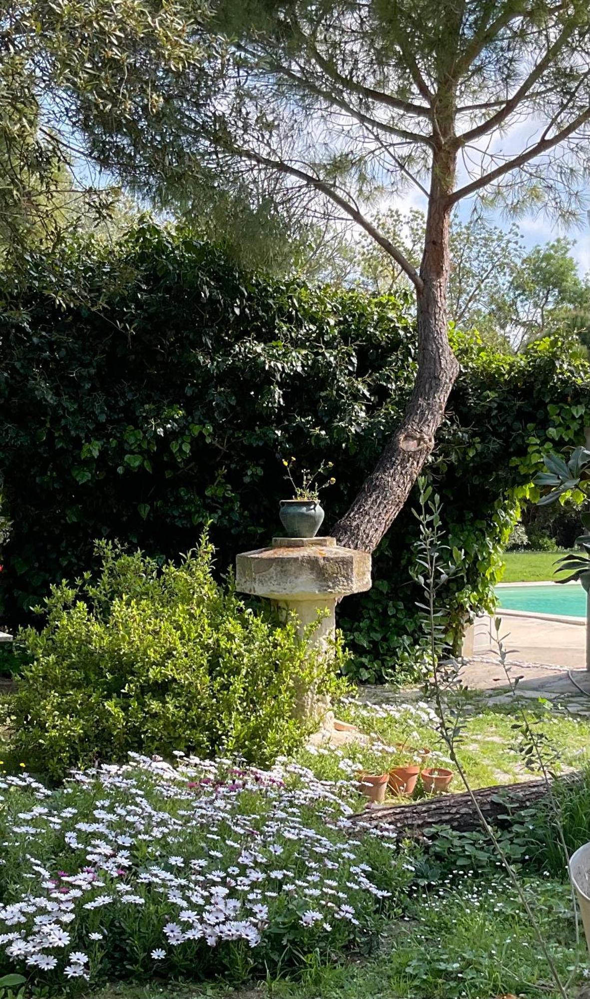 Le Jardin De Lacoste ナルボンヌ エクステリア 写真